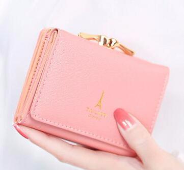Paris Touch Wallet
